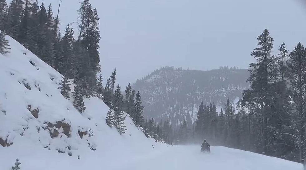 Want To Know How To Go Snowmobiling In Yellowstone This Winter?