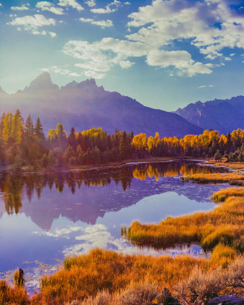 Here Are The Best Places To See Wyoming’s Beautiful Fall Scenery