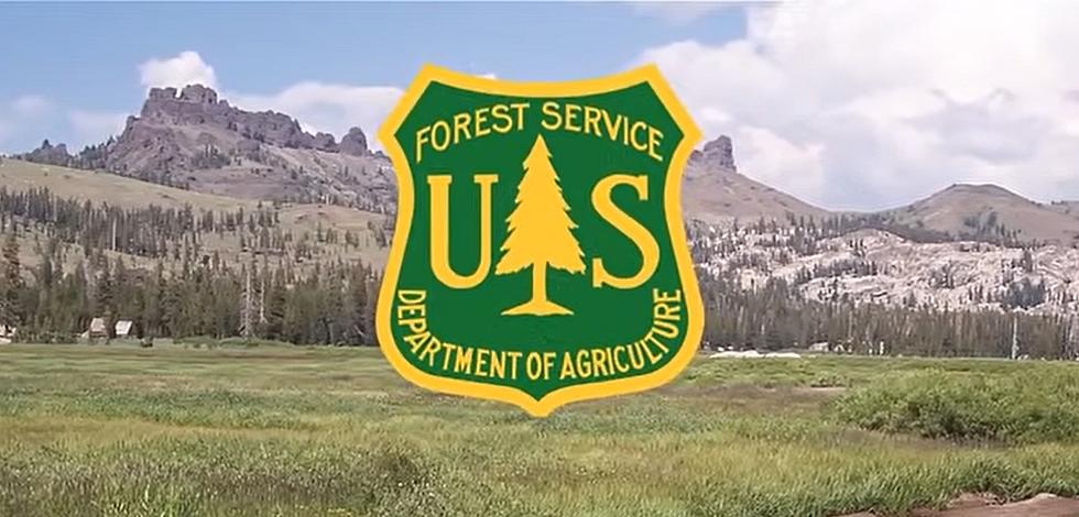 Would You Like To Work With The U.S. Forest Service In Wyoming?