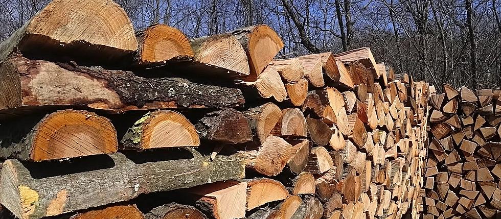 What Is Important To Be Aware Of When Buying Wyoming Firewood?