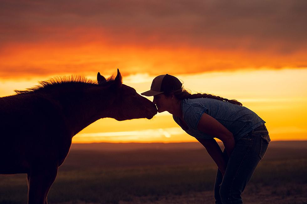 Look: Pictures Capture The Love Between Wyoming Ranchers And Their Horses