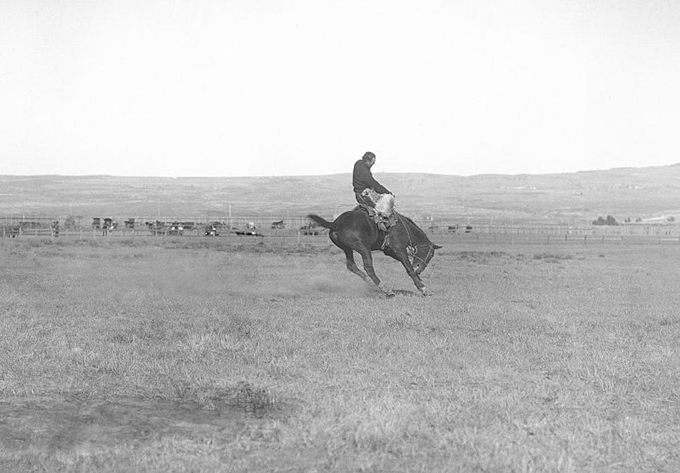 Do You Know The Real Story Behind Wyoming’s Bucking Horse Logo?