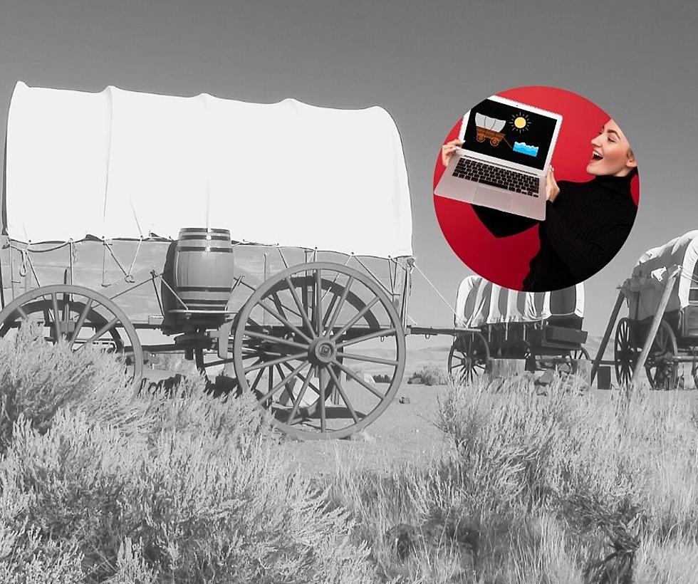 The Oregon Trail Game Is More Like Real Life Than You May Have Thought