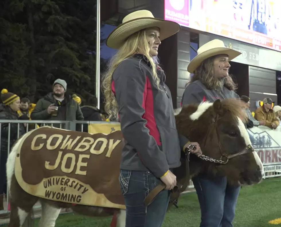 What&#8217;s The Story Of Wyoming&#8217;s Most Famous Pony, Cowboy Joe?