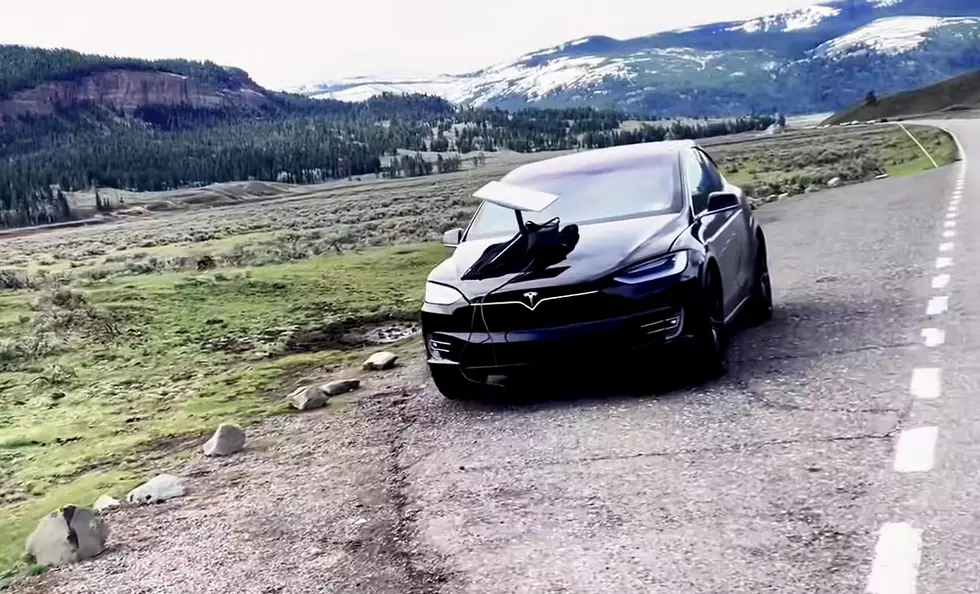 Driving A Tesla In Yellowstone Could Be An Interesting Adventure