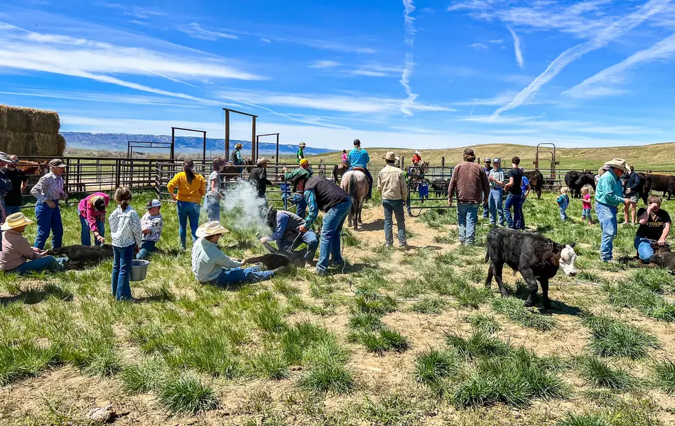 Take A Look At Central Wyoming’s 2022 Spring Branding