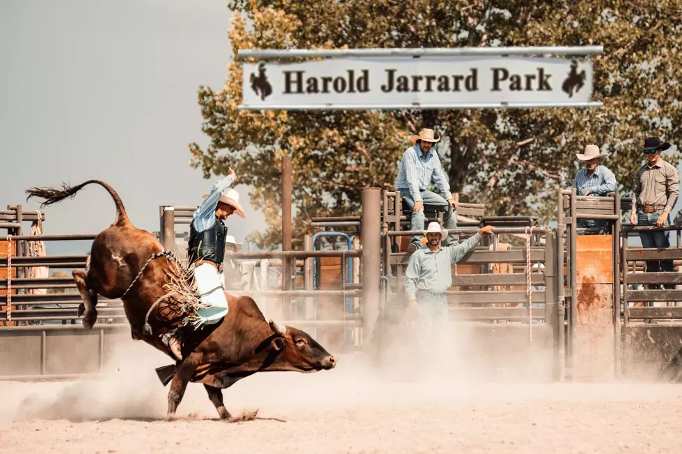 If You Love Rodeo, Don’t Miss The Action In Kaycee
