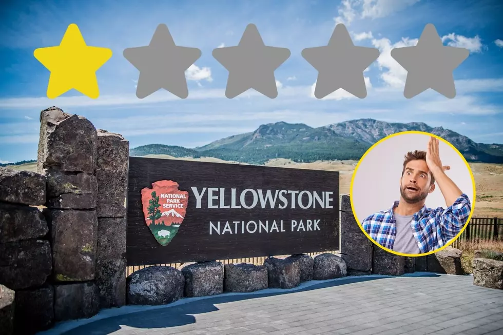 Funny 1-Star Reviews Of Unhappy Yellowstone National Park Visitors