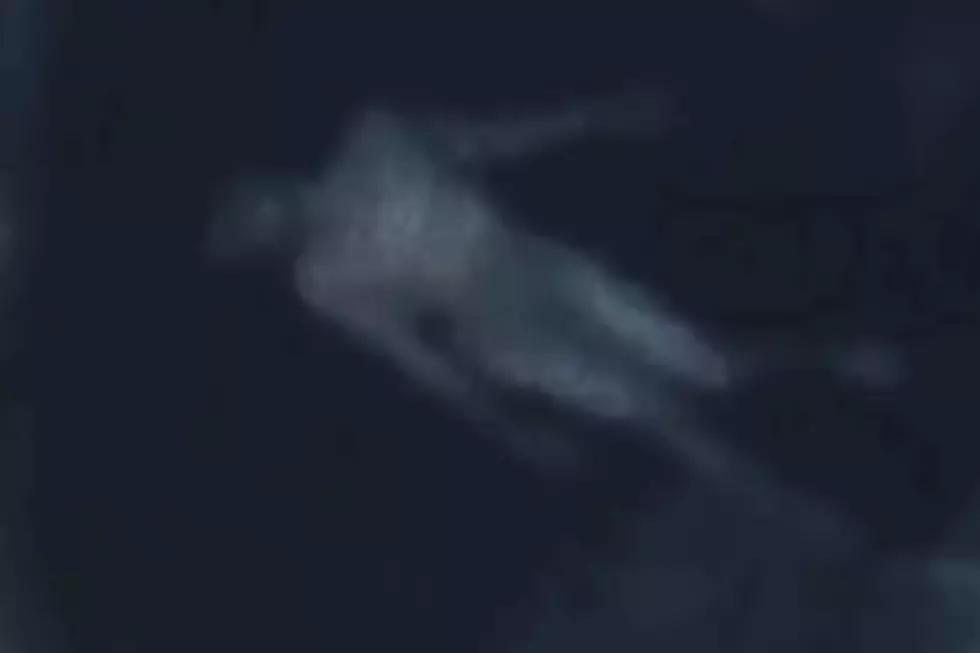 WATCH: ‘Casper Mountain Crawler’ Monster Supposedly Caught on Camera