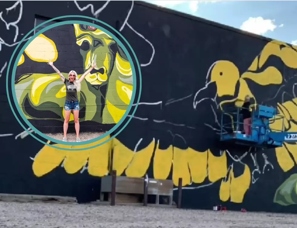 WY Artist Bria Hammock Creates New Mural In Downtown Cheyenne