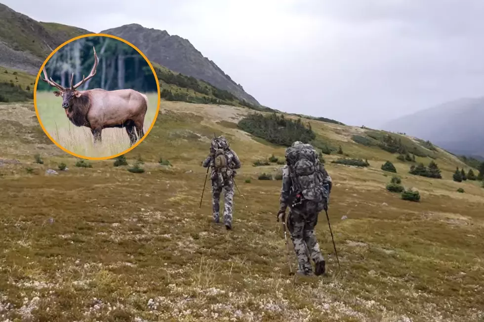 Wyoming Elk Season Is Coming, Time To Step Up The Fitness Level