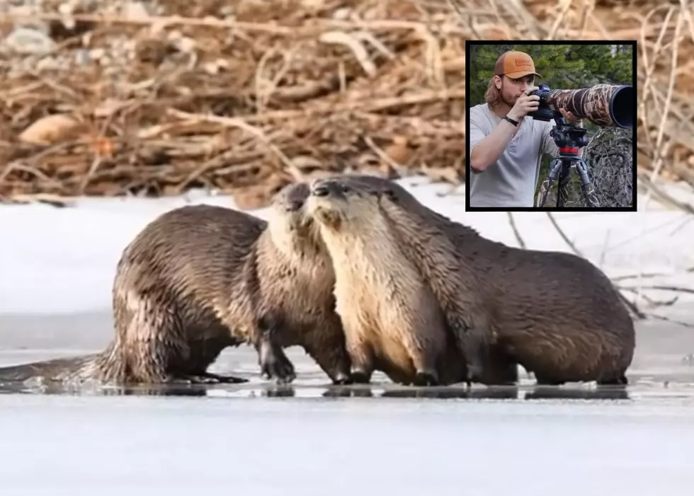 WATCH: Young Wildlife Photographer Shares Wyoming&#8217;s Beauty With The World