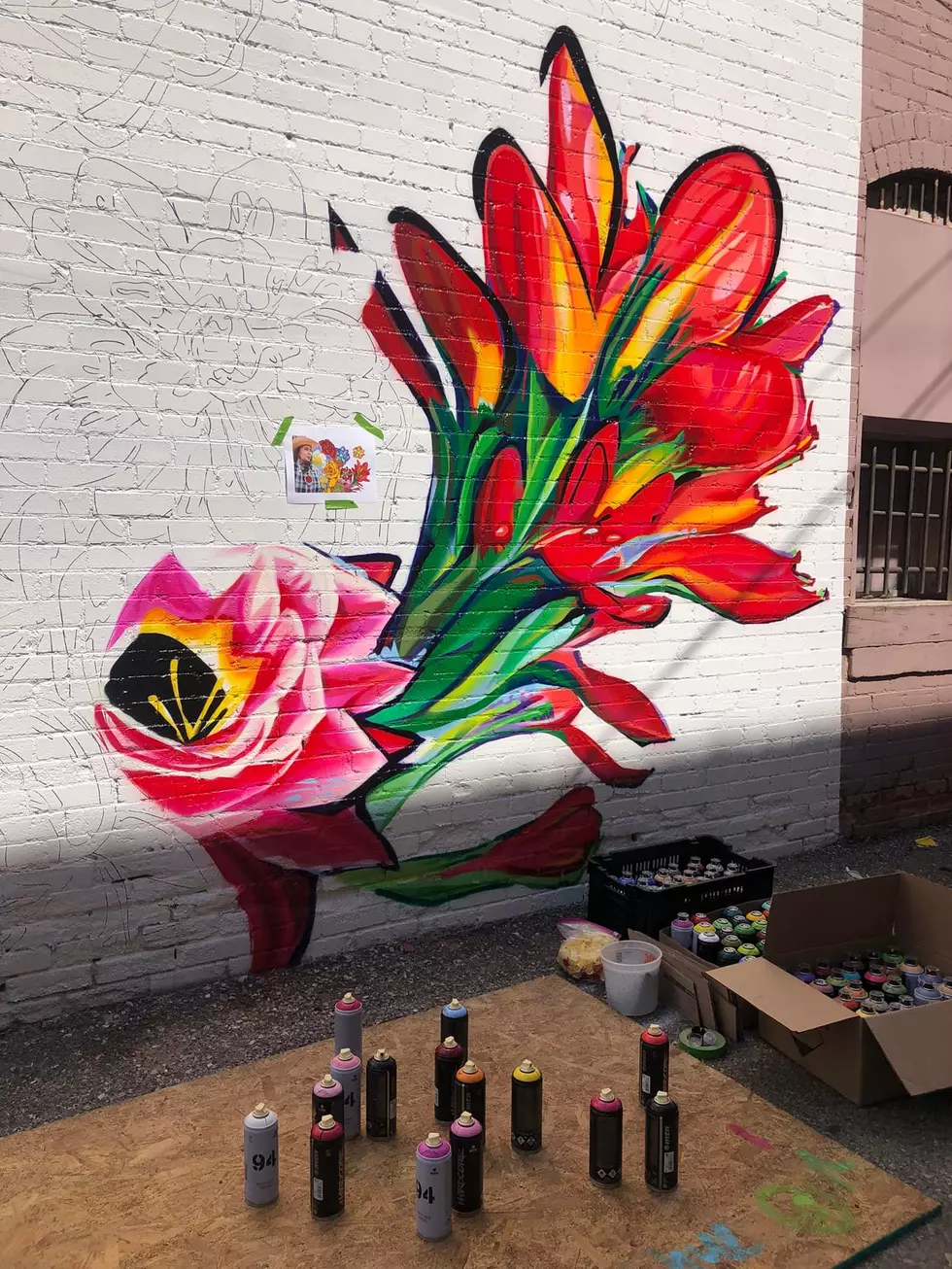 Casper Mural Project via Facebook