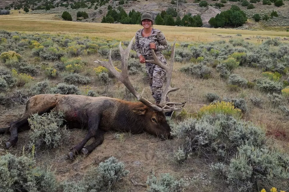 Wyoming&#8217;s 2022 Elk Season Is Underway And Looking Good