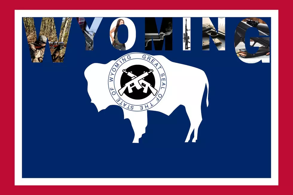 Surprised That Wyoming Is The Best State For Gun Owners?