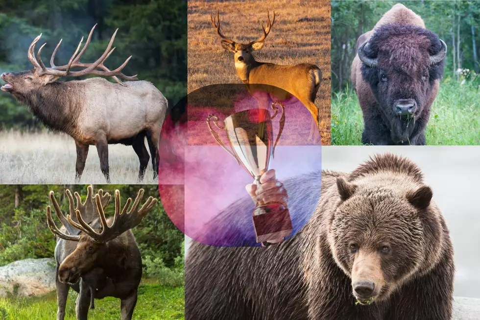 Live A Live Part #6 - Big game hunting.