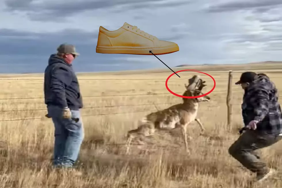 Man Got A Dirty Sock While Helping A Trapped Antelope