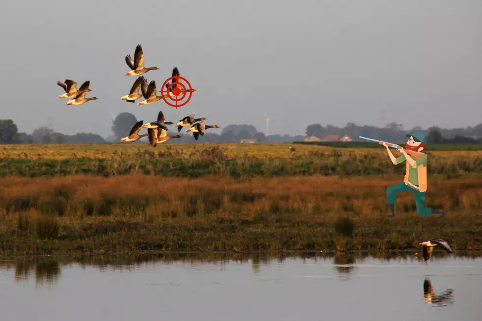 Tips To Help You Shoot Better When Wyoming Bird Hunting