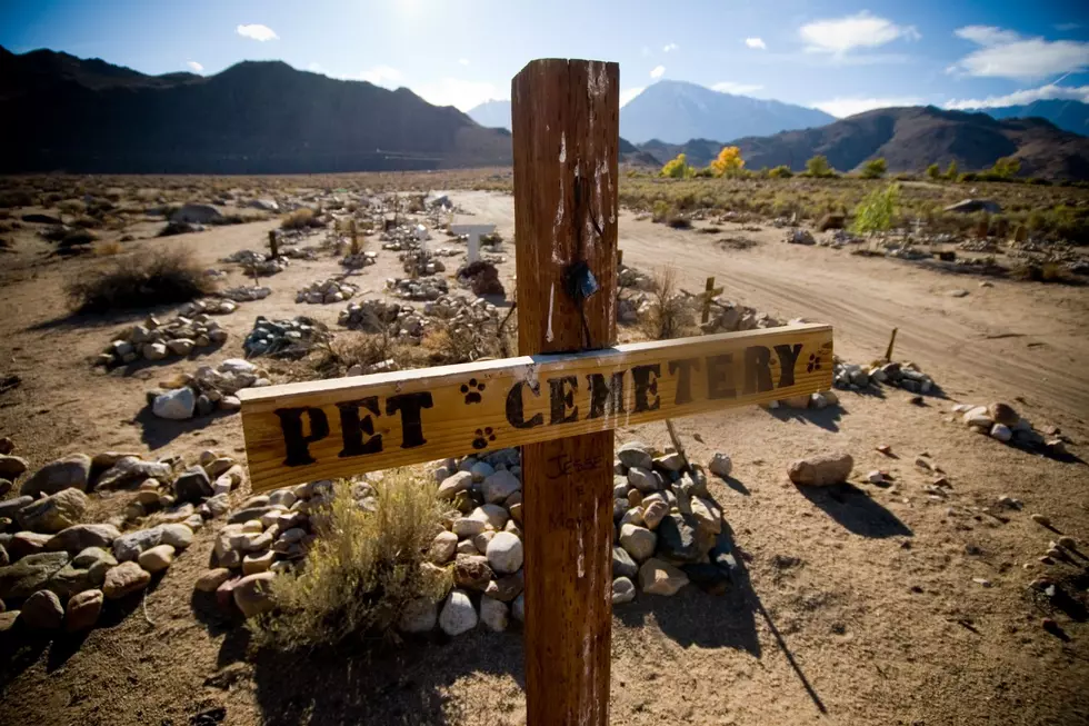 Do Pets Get Buried Somewhere Special In Wyoming?