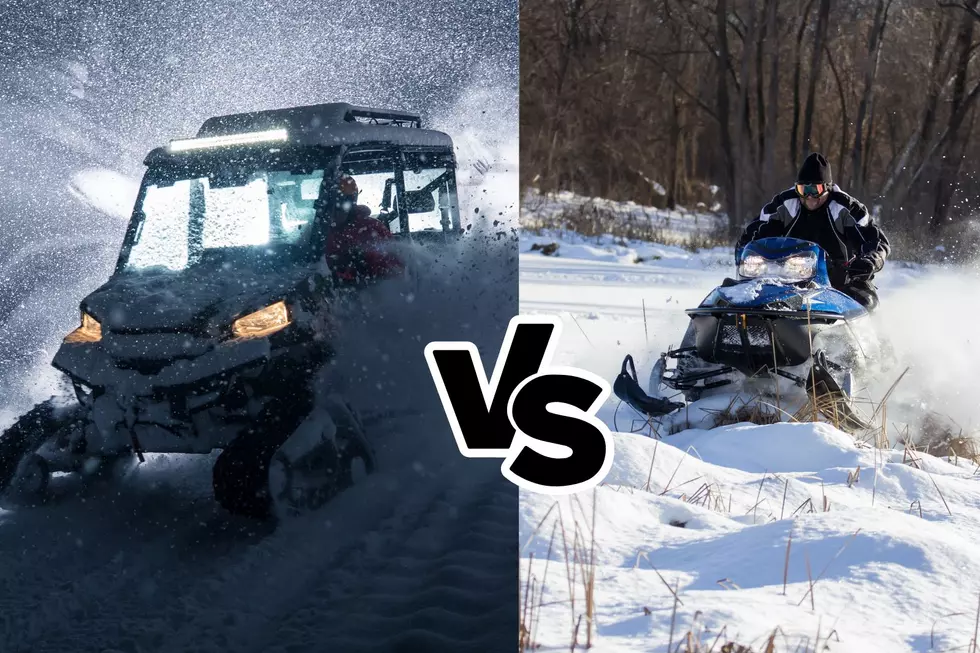 Which Is Best For Wyoming Winters: Snowmobile or UTV With Tracks?