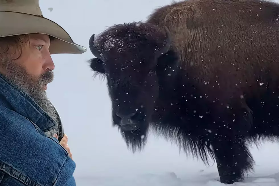 Wyoming&#8217;s Mountain Man Josh Kirk Guides A Successful Bison Hunt