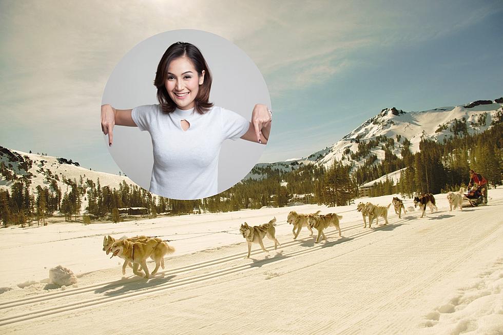 Where Are The Top Spots To Go Dogsledding In Wyoming?