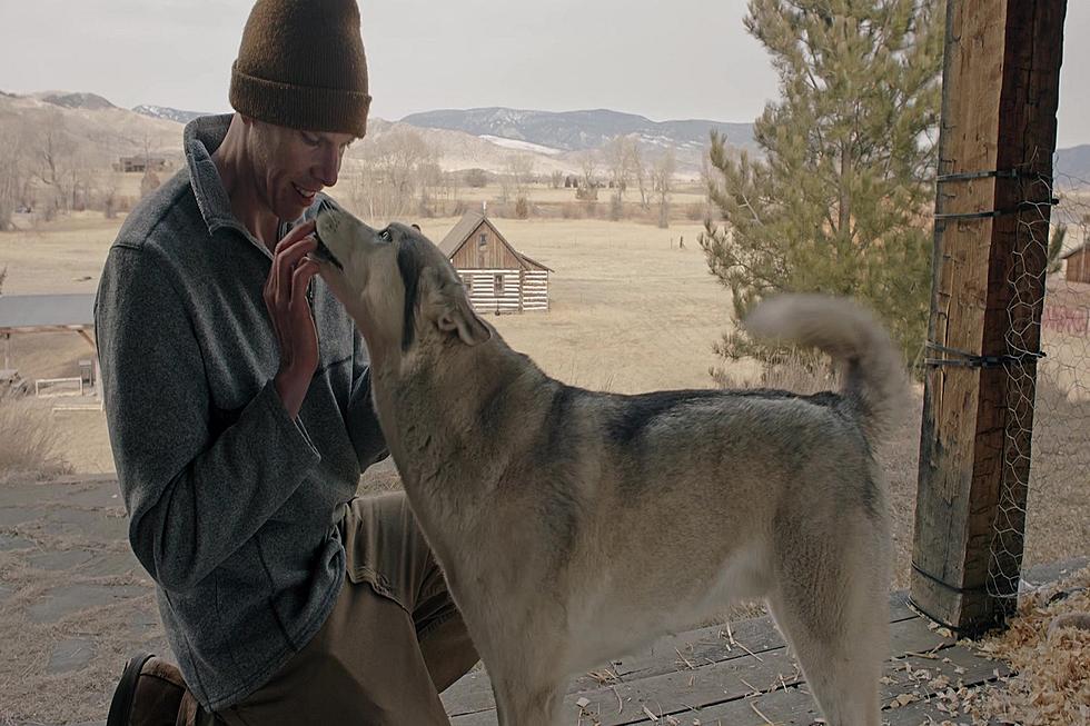 What New Dog Movie’s Coming To Casper Benefitting Humane Society?