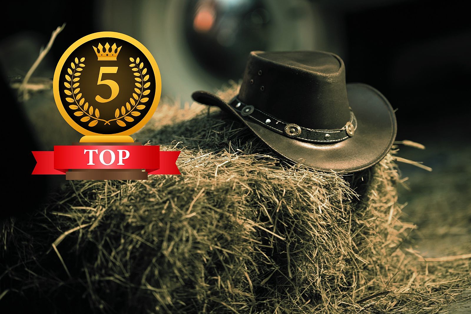 Do You Agree These Are The 5 Top Cowboy Hat Brands In Wyoming?