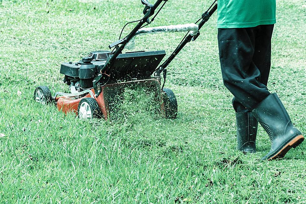 Here’s One Easy Step For Your Wyoming Lawn To Look Great