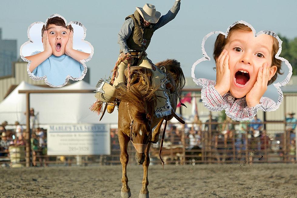 Here’s The Best List For Wyoming’s Favorite Rodeos