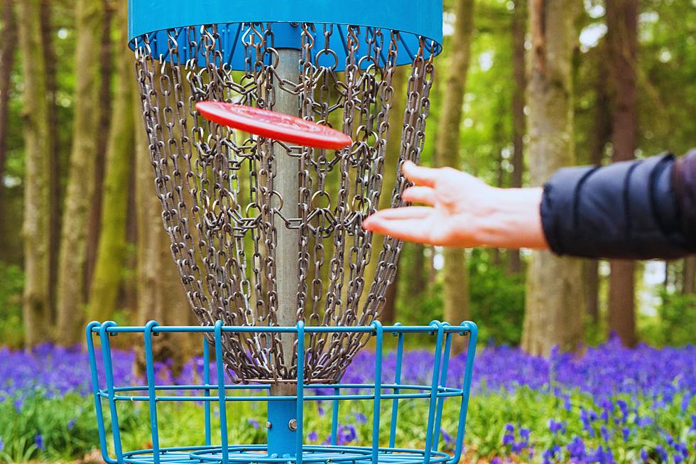 Disc Golf’s Growth In Wyoming May Be Surprising To Some