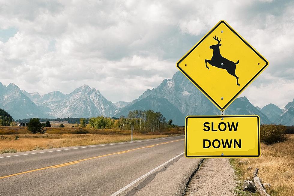 Why Won&#8217;t People Focus On Roads And Slow Down In Wyoming?