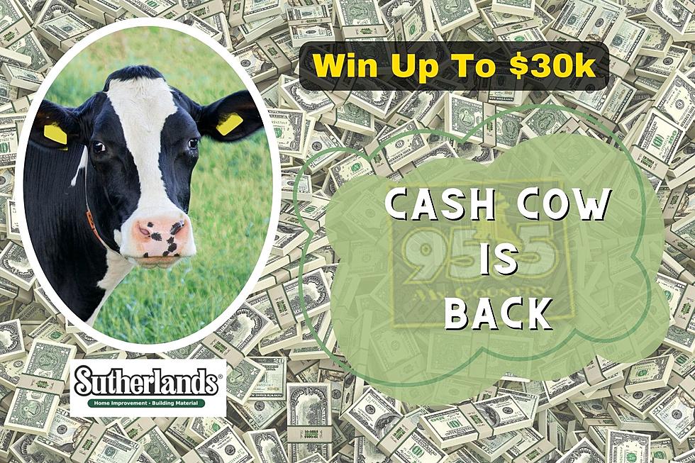 You Can Win Up to $30,000 From The Cash Cow
