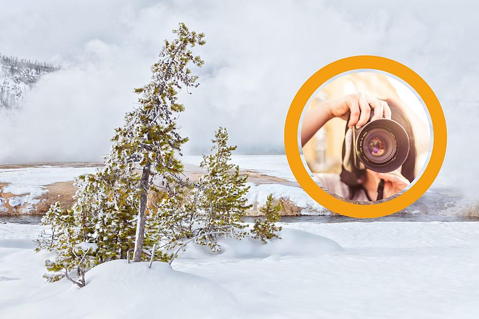 How To Win A Chance To Photograph Yellowstone’s Awesome Winter