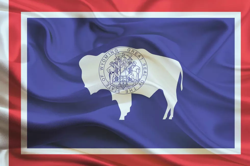 Great News About Wyoming’s Awesome State Flag