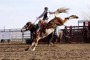The 2025 Rodeo Season Is Booming Across Wyoming