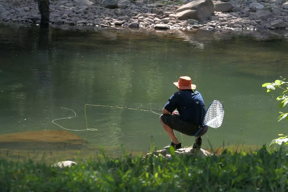 Heat Is Making Catch And Release Deadly For Wyoming Trout Right Now