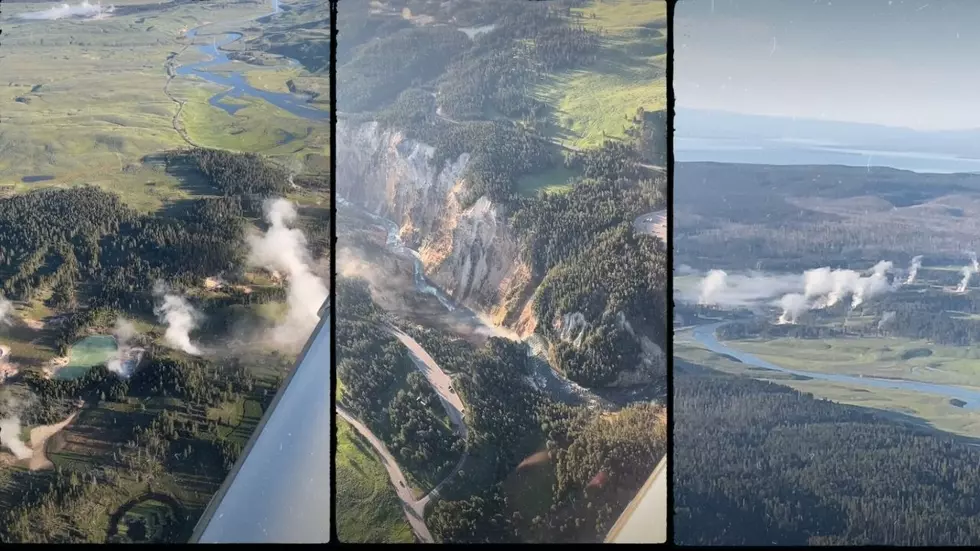 Millions Visit Yellowstone Each Year But See Less Than 10 Percent