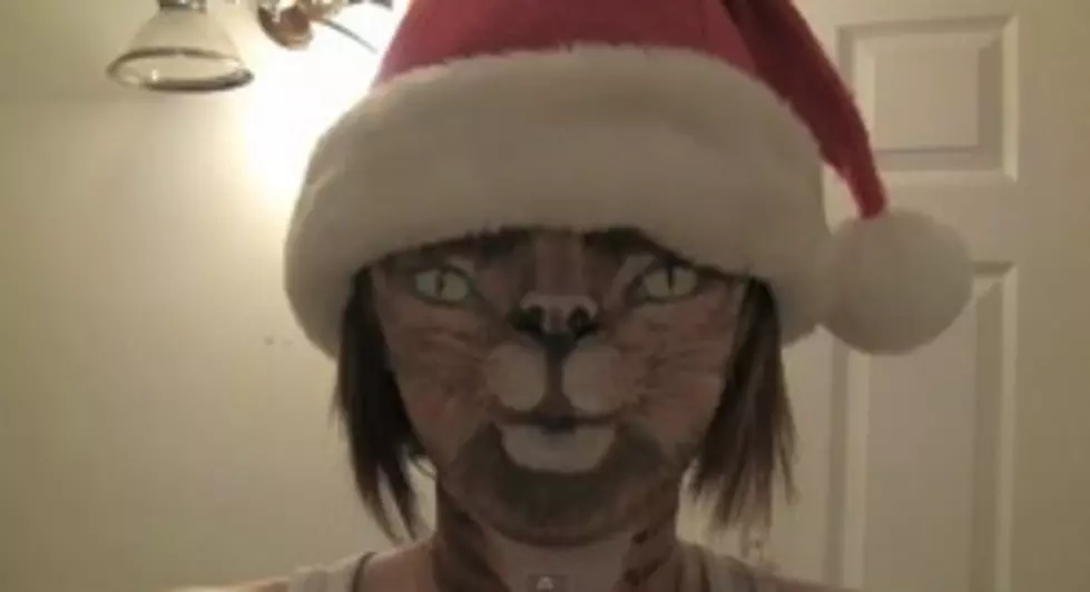 Christmas Through The Eyes Of A Cat, In A Santa Hat [VIDEO]