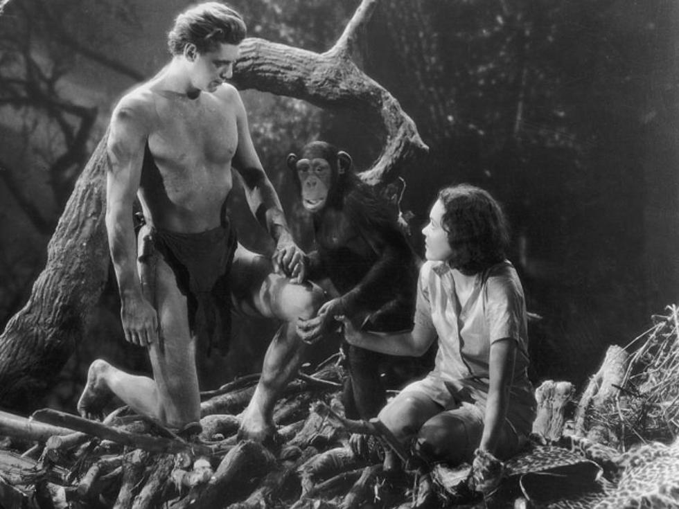 Legendary Chimp ‘Cheetah’ From Tarzan Movies Dies at 80 [VIDEOS]