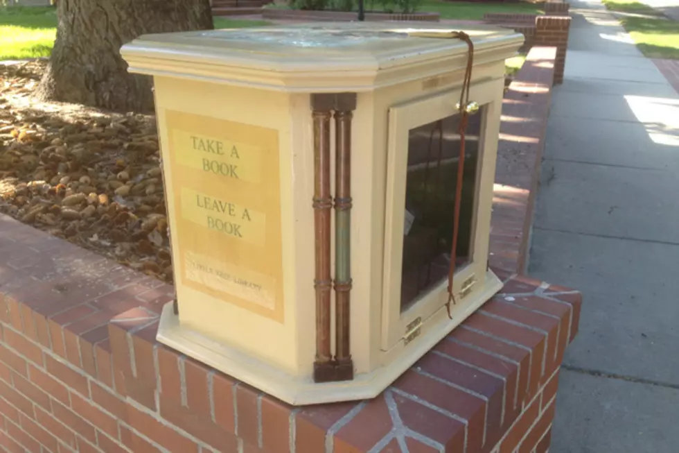 Have You Been to Casper&#8217;s &#8216;Little Free Library?&#8217;