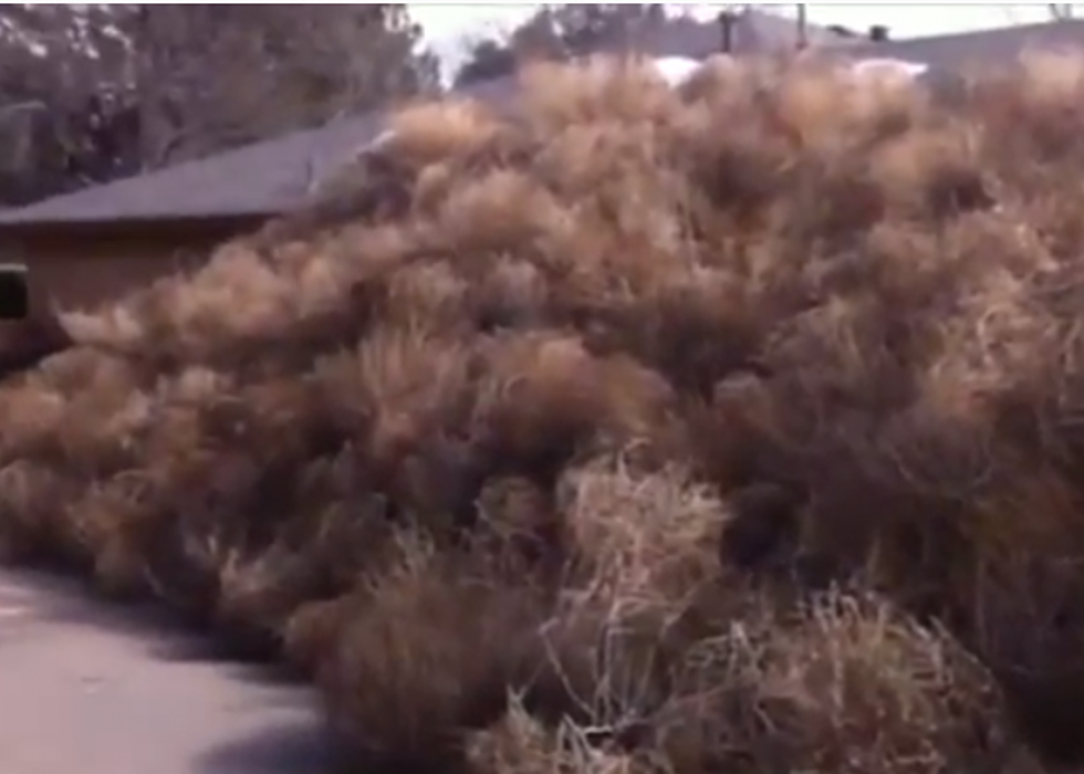 Tumble Weeds Attack Texas Man&#8217;s Home