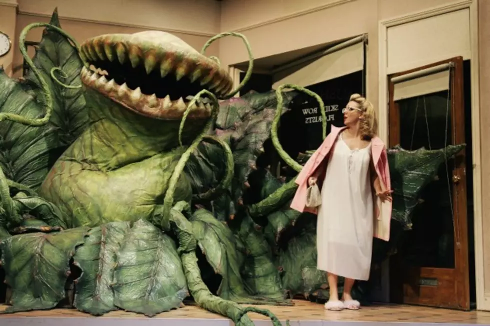 NCHS Music And Theatre To Present Little Shop Of Horrors
