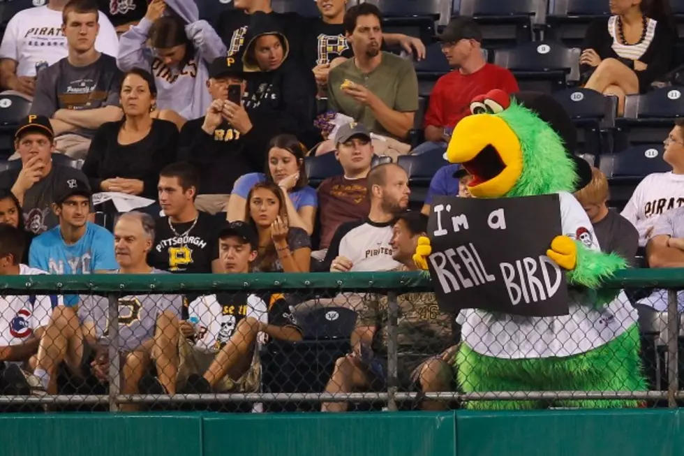 Watch: A Mascot Punches Another Dude&#8217;s Lights Out! [VIDEO]