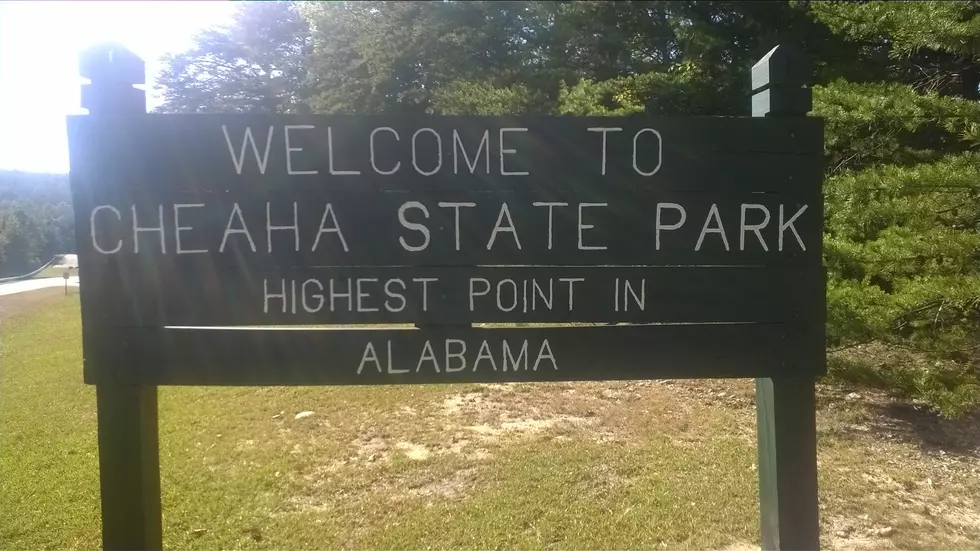 Jon Michaels & His Friend Roger Show You A Little Piece Of Alabama Heaven [VIDEO]