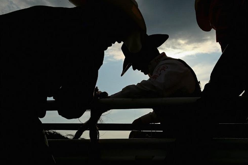 Wyoming Rodeo History and Events of Today in free eBook