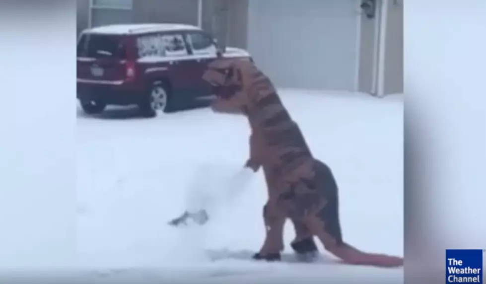 This Dinosaur With a Snow Shovel is Most Jiggy [VIDEO]