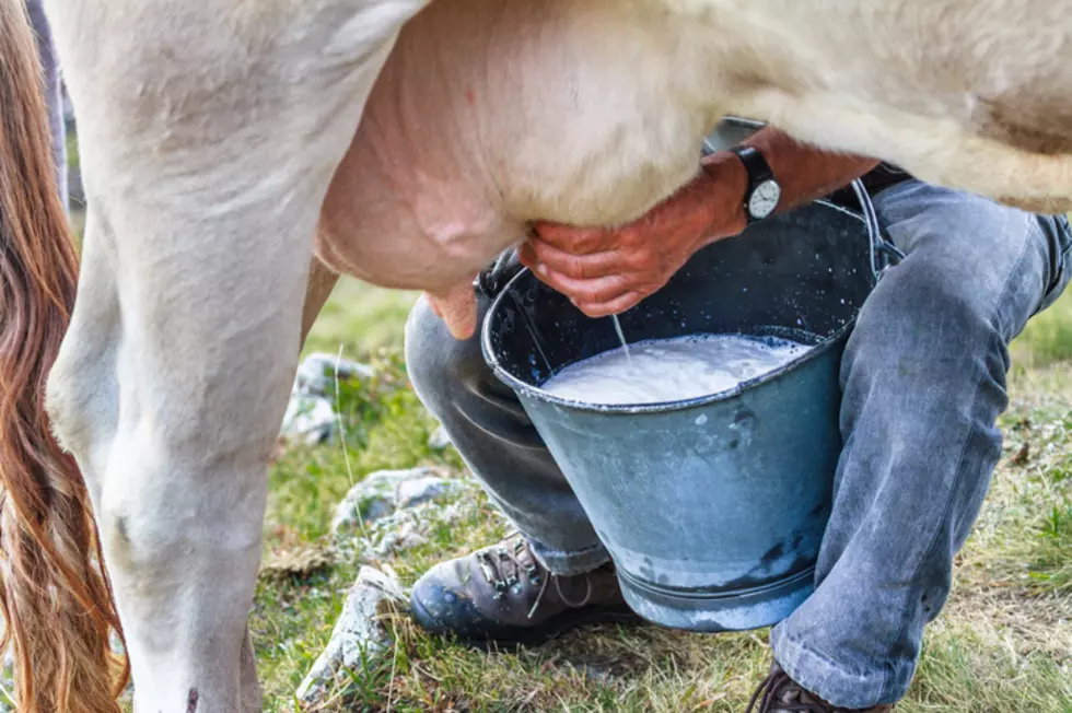 Young Kids Learn An Important Life Skill Out  On The Ranch