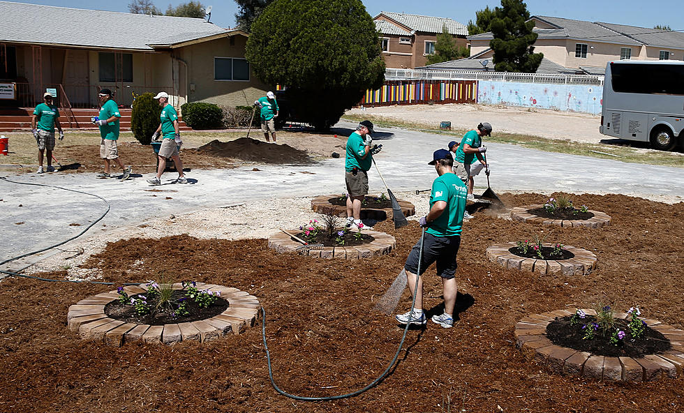 Wyoming Food For Thought Project Launches New Community Garden Concept