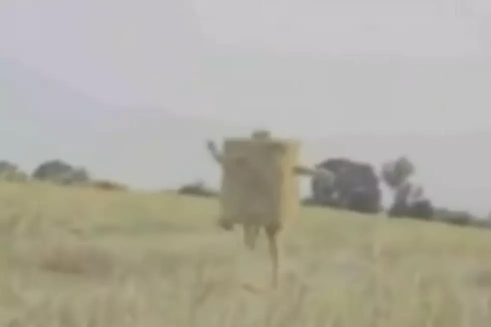Naked Man Turns Into Hay Bale [VIDEO]